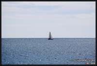 Cliquez pour voir '1505256146.jpg' 1505256146.jpg